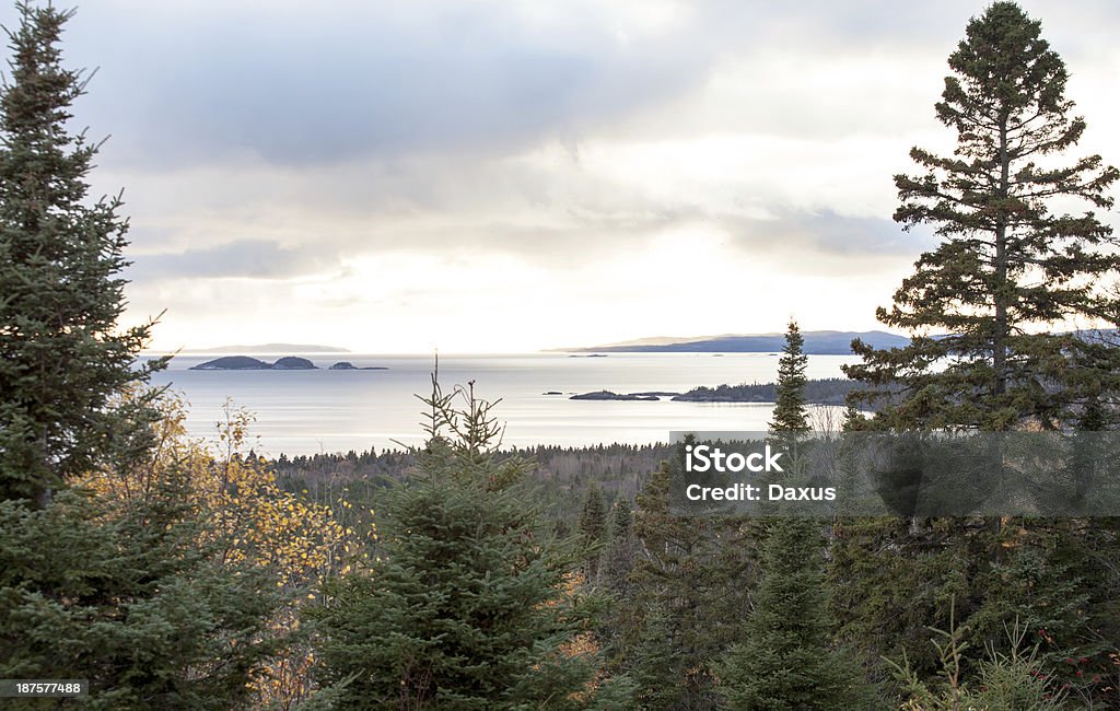 Wilderness Lake Lake Shore in Northern Ontario, Canada (Stock Image) Bush Stock Photo