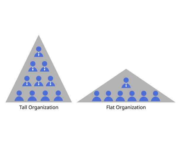 istock tall and flat organizational structure with wide and small wide spans of control 1875785551