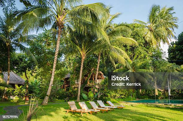 Liegestühle Unter Palmen Am Swimmingpool Stockfoto und mehr Bilder von Asien - Asien, Bali, Fotografie