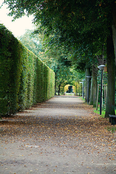 istock Park alley in Tier, Germany 187579499