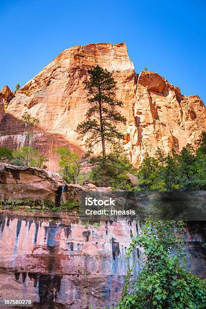 Lower Esmeralda Piscina Trail Zion Canyon Foto de stock y más banco de imágenes de Acantilado - Acantilado, Aire libre, América del norte