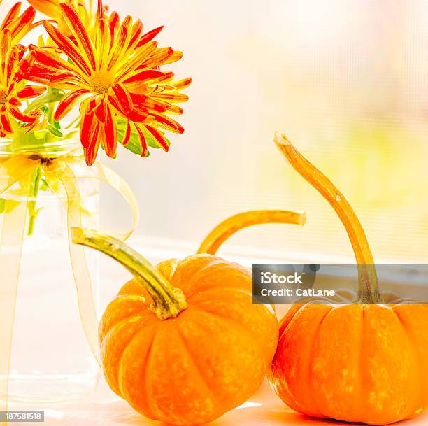 Mini Pumpkins And Fall Flowers Stock Photo - Download Image Now - Arrangement, Autumn, Beauty In Nature