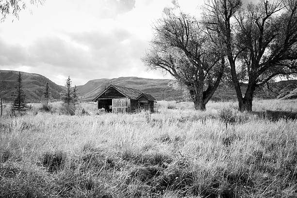 istock Old Barn Homestead in Black and White Landscape 187582440