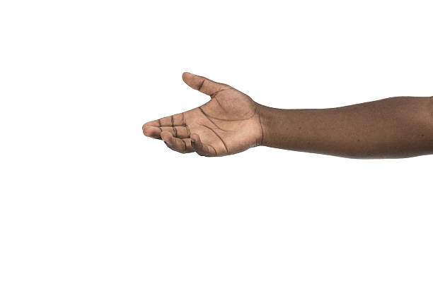 Hand of african american on isolated white background. Copy space