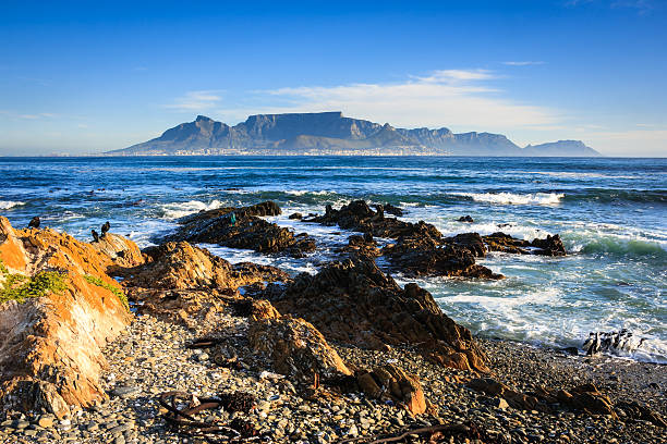 View of Cape Town and Table Mountain from Robben Island (where Nelson Mandela was imprisoned). Flock of penguins in the lower right corner of the image.