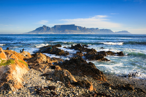 View of Cape Town and Table Mountain from Robben Island (where Nelson Mandela was imprisoned). Flock of penguins in the lower right corner of the image.