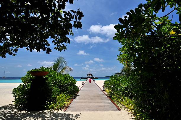 istock Tropical Island Maldives 187585216
