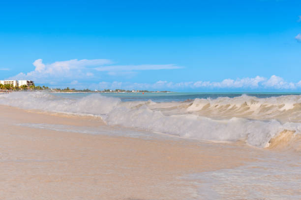 istock Mexico, Yucatan, Playa Mujeres 1875856349