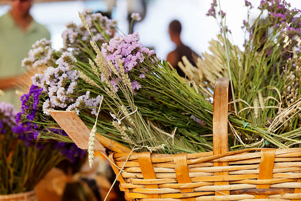 Dried everlasting Provence flowers for sale, from a wicker basket, in the market at Antibes in the Alpes Maritimes district, on the Cote D’Azur.
