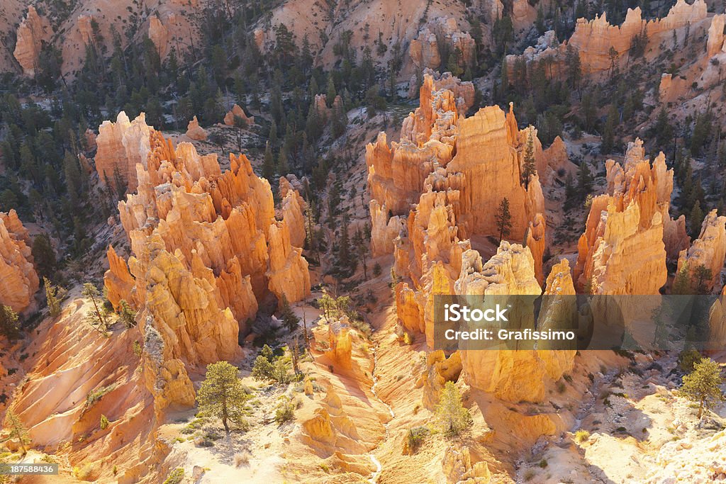Park Narodowy Bryce Canyon USA - Zbiór zdjęć royalty-free (Bajeczne kominy i iglice skalne)