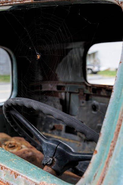 Spider and Web in Junk Pickup Truck Windshield