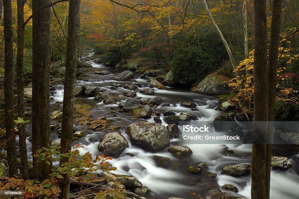Fluss Little Pigeon im Herbst im Great Smoky Mountains - Lizenzfrei Fluss Pigeon River Stock-Foto