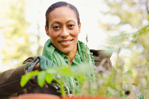 istock Middle age mixed race woman gardening 187592669