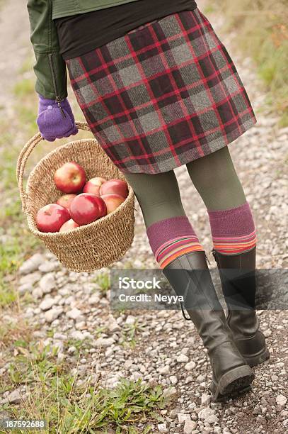 Photo libre de droit de Pommes Biologiques Dans Le Panier banque d'images et plus d'images libres de droit de Bottes - Bottes, Femmes, Scène rurale