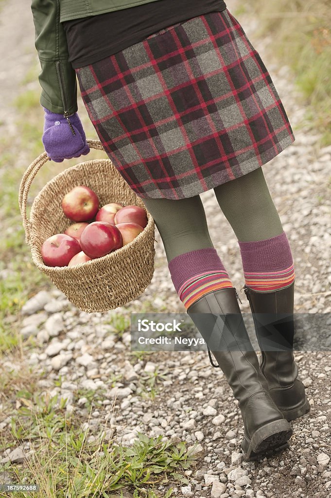 Organic maçãs em uma cesta - Foto de stock de Bota royalty-free