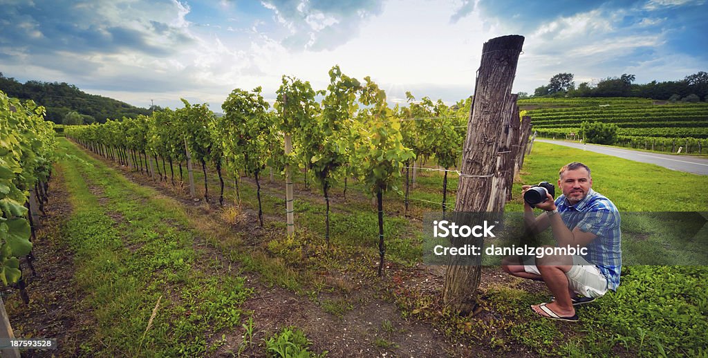 Photographer in Slovenian Vineyard Photographer in vineyard in Slovenia. Selective soft focus. Toned photo. Adult Stock Photo