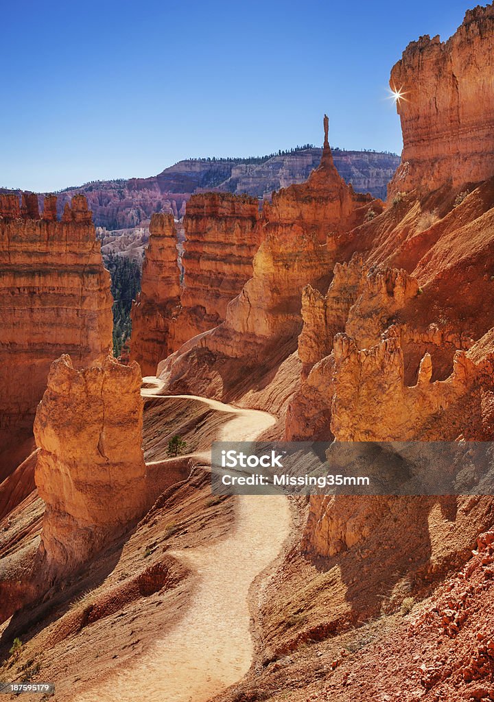 Bryce Canyon Hiking e Trail - Foto stock royalty-free di Bryce Canyon