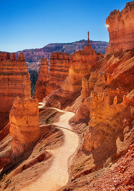 bryce canyon hiking e trail - bryce canyon national park foto e immagini stock