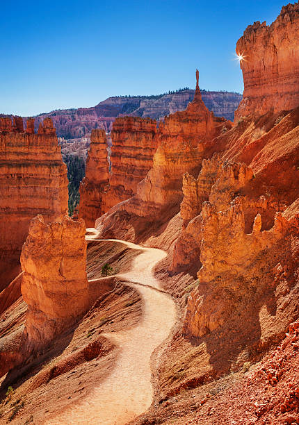 Bryce Canyon Hiking Trail "The Sentinel" rock formation on the Navajo Loop trail, Bryce Canyon, Utah. bryce canyon stock pictures, royalty-free photos & images
