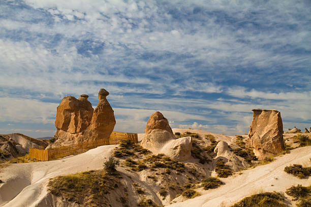 Camel shaped rock stock photo