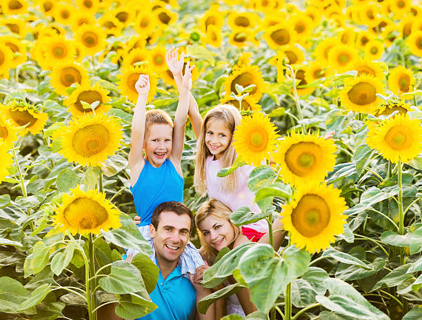 Mid adult parents carrying their children on shoulders among sunflowers and looking at the camera.   