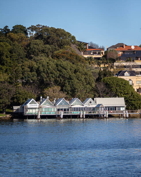 istock Swan River Cruise Sights 1875988739