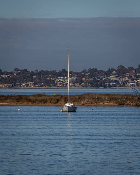 istock Swan River Cruise Sights 1875989345