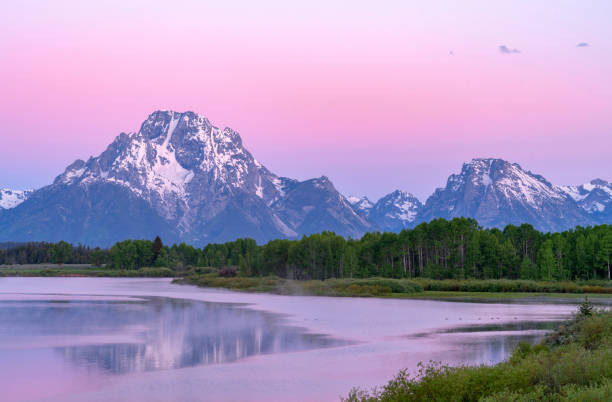 landscape of snow mountain moran in pink twilight before sunrise - snake river mt moran nature grand teton national park imagens e fotografias de stock