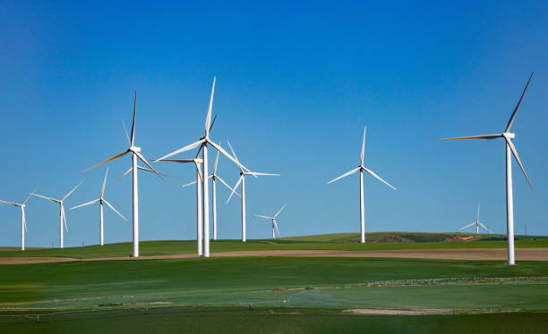 istock wind turbine on green meadow 1875997967