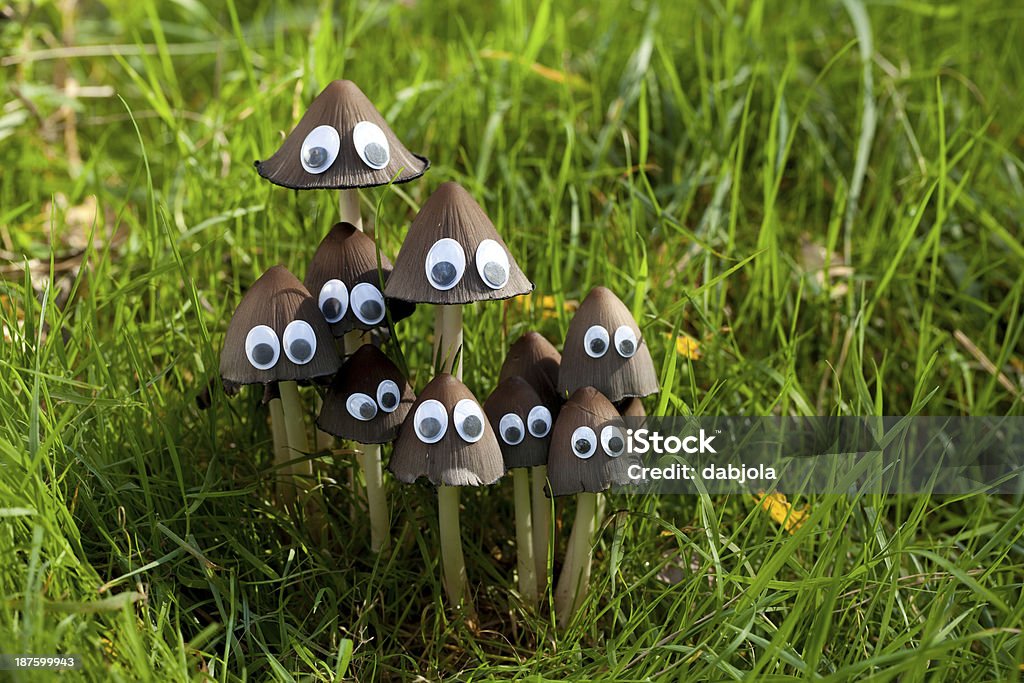 Coprinus atramentarius edible mushrooms (Coprinus atramentarius) on grass Brown Stock Photo