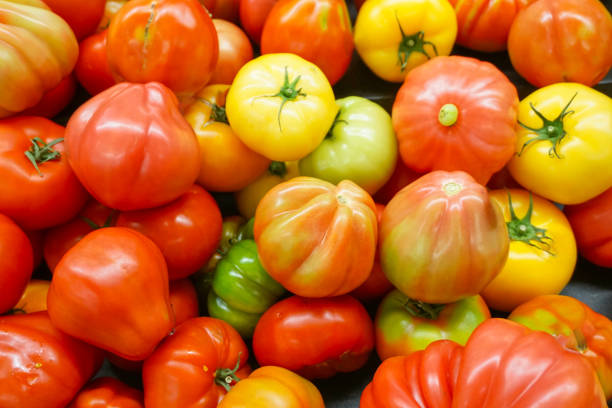 istock close up on fresh tomato pile as food background 1876002850