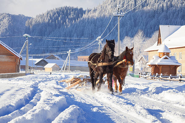 istock carriage with horses in winter 187600912