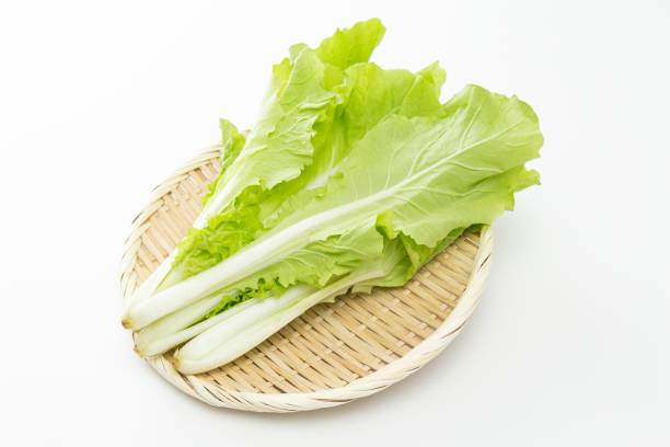 istock Shandong vegetables on a white background. 1876023613