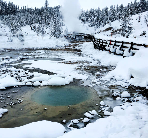 Mammoth Hot Springs in Winter in Yellowstone National Park, Wyoming Montana. Northwest. Yellowstone is a winter wonderland. Geothermal Mammoth Hot Springs in Winter in Yellowstone National Park, Wyoming Montana. Northwest. Yellowstone is a winter wonderland, to watch the wildlife and natural landscape. Geothermal mud volcano yellowstone stock pictures, royalty-free photos & images