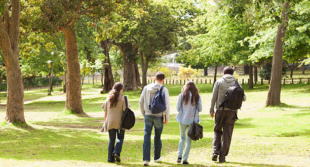 istock Rear view of a student group with their bags 187612647