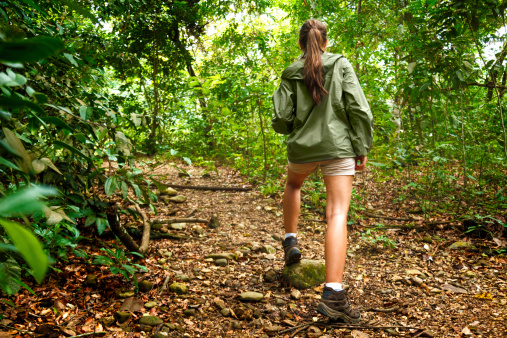 Young woman hiking on a tropical rainforest trail