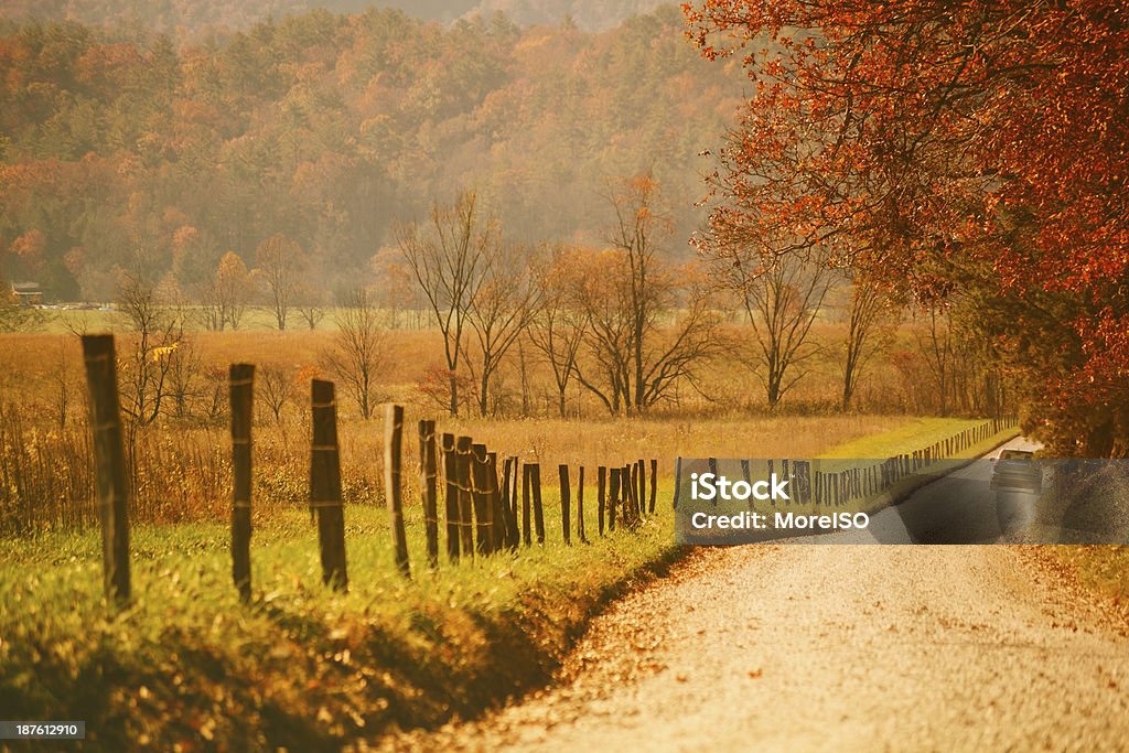 Autumn Country Road in the Forest Asphalt road during Fall. Great Smoky Mountains National Park. Autumn Stock Photo