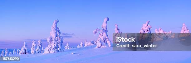Sunset Over Frozen Trees On A Mountain Levi Finnish Lapland Stock Photo - Download Image Now