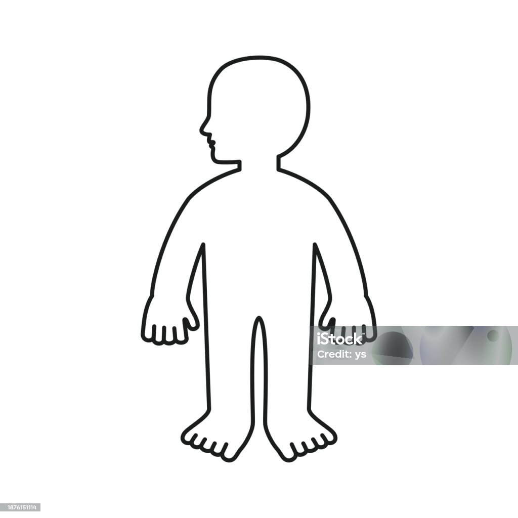 Vector Body Stock Body Stock Illustration - Download Image Now - Biomedical Illustration ...