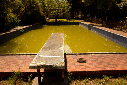 Abandoned Swimming Pool