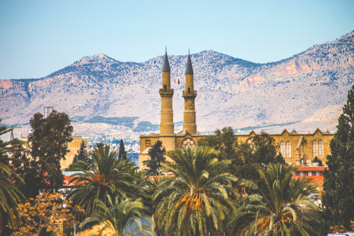 View to Nicosia over palm trees, mosque in Turkish side.