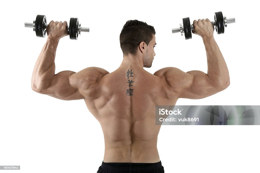 Shoulder press Muscular male exercising with dumbbells in front of white background Dumbbell Stock Photo