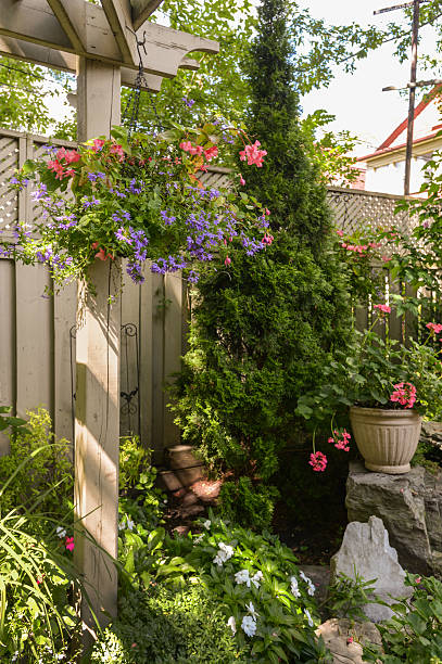 istock Home garden in summer time 187617931