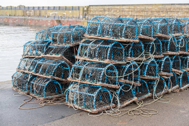 istock Group of fist net traps 1876182612