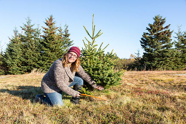 istock Young woman cutting a small Christmas tree in the forest 187618365