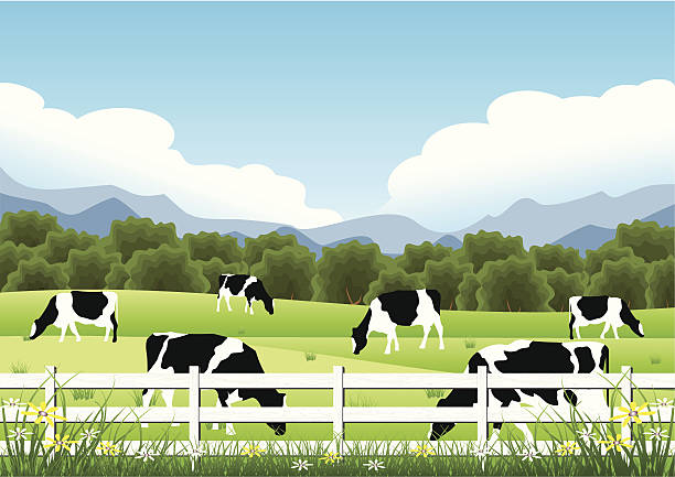のどかなファームシーン - farm fence landscape rural scene点のイラスト素材／クリップアート素材／マンガ素材／アイコン素材