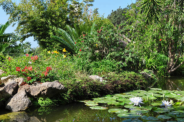 botanical garden on Ischia island