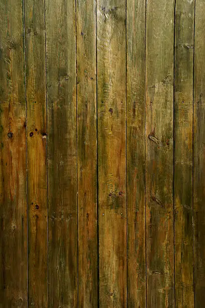 Photo of wooden background