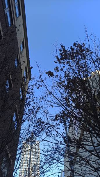 istock The building with the trees and the clear blue sky 1876279383