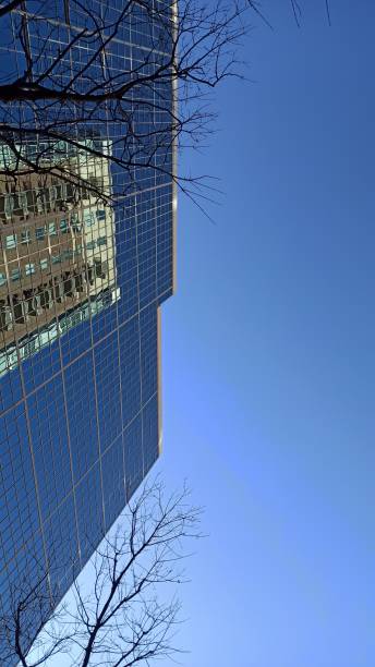 istock The building, the trees and the clear blue sky 1876281526